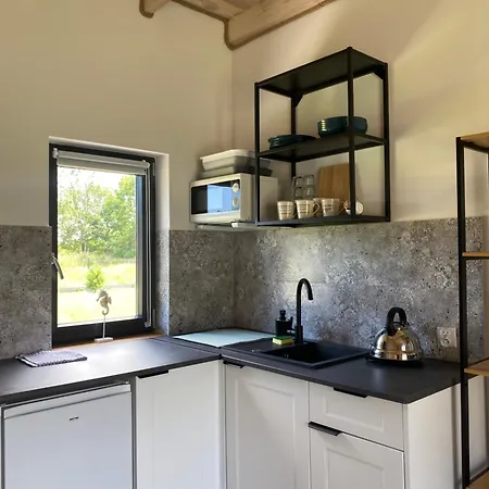 Sunports ミコシェボ