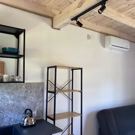 Sunports * ミコシェボ